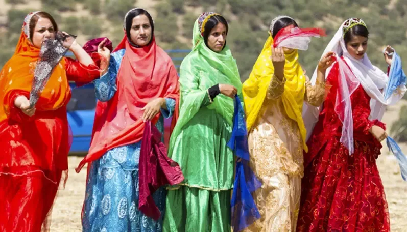 You are currently viewing Bakhtiari rug story