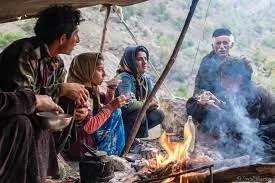 bakhtiari rugs a tapestry of tribal heritage (4)