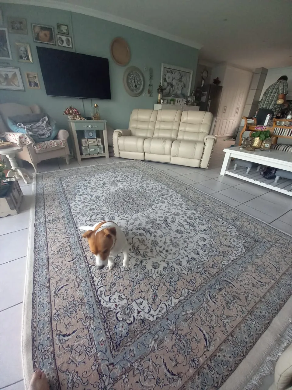 premium persian customers feedback (5)