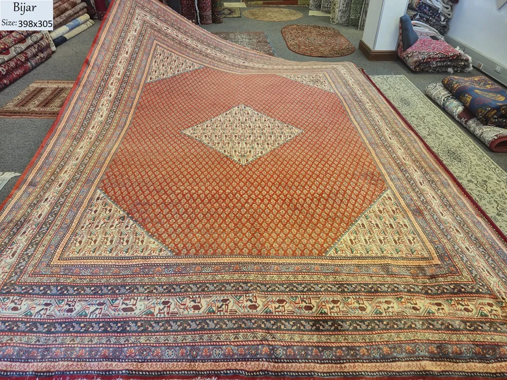 Hand Knotted Bijar Persian rug 2