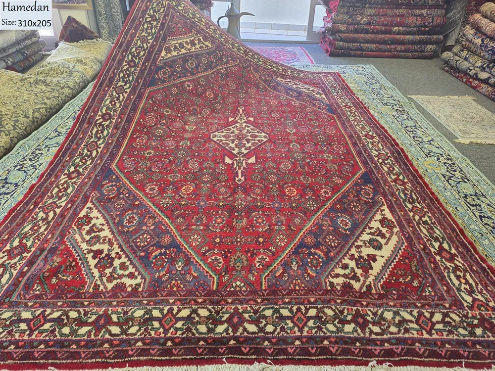 Fine Handmade Hamedan 2