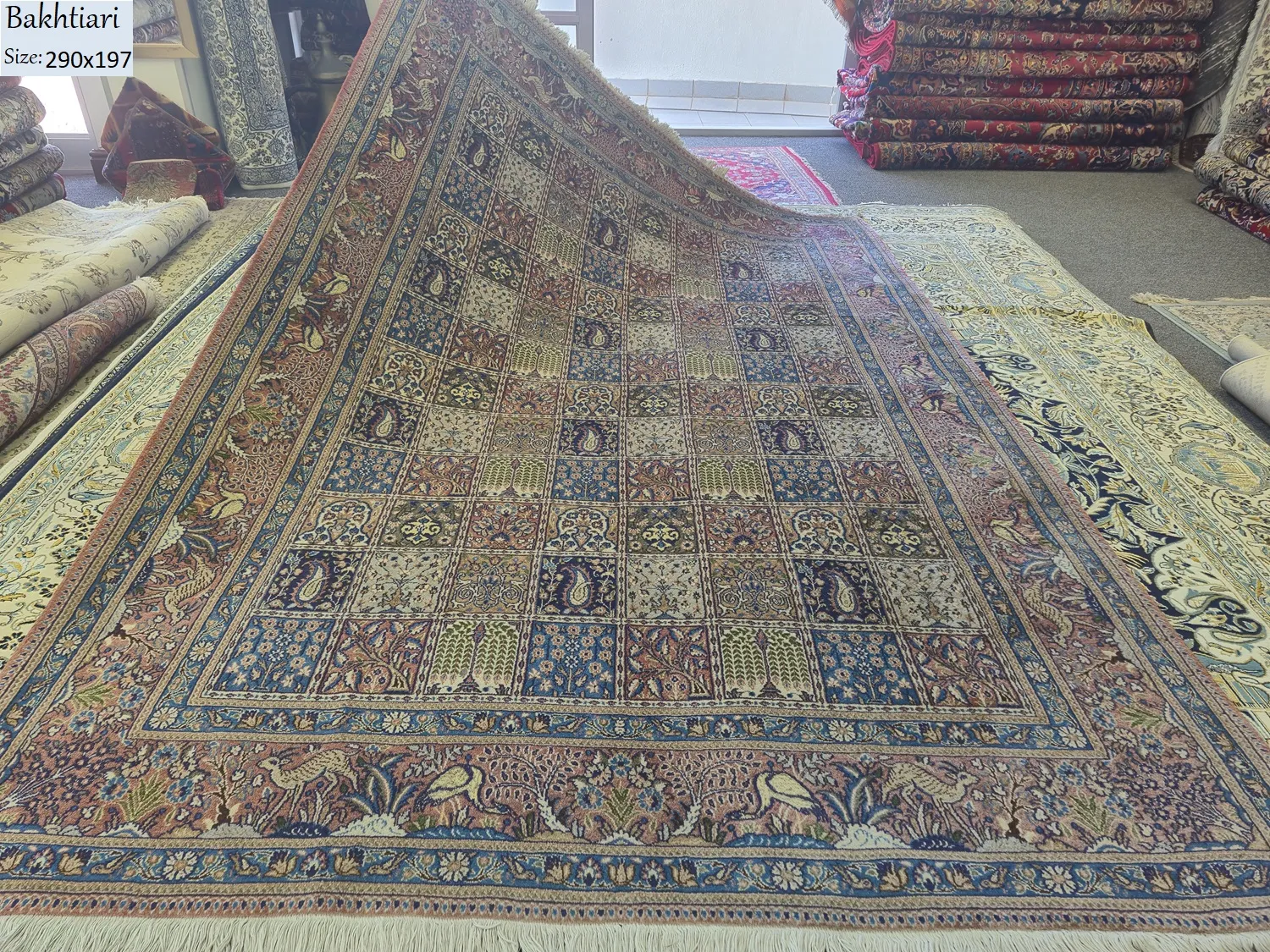 Premium Bakhriari rug