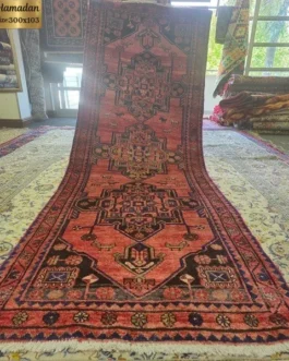 Hamadan runner