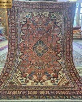 Hamadan Persian rug